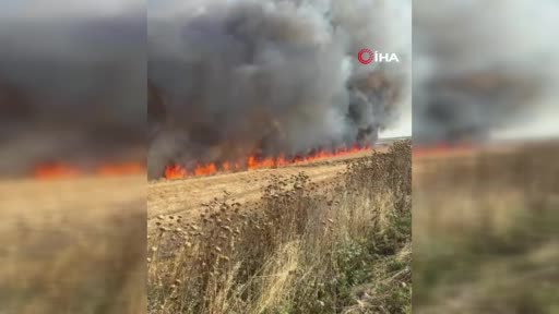 Buğday Tarlasında Yangın Felaketi