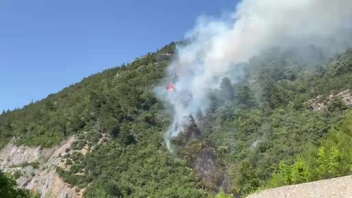 Bursa'da Ormanlık Alanda Yangın Mücadeleleri ve Sonuçlar