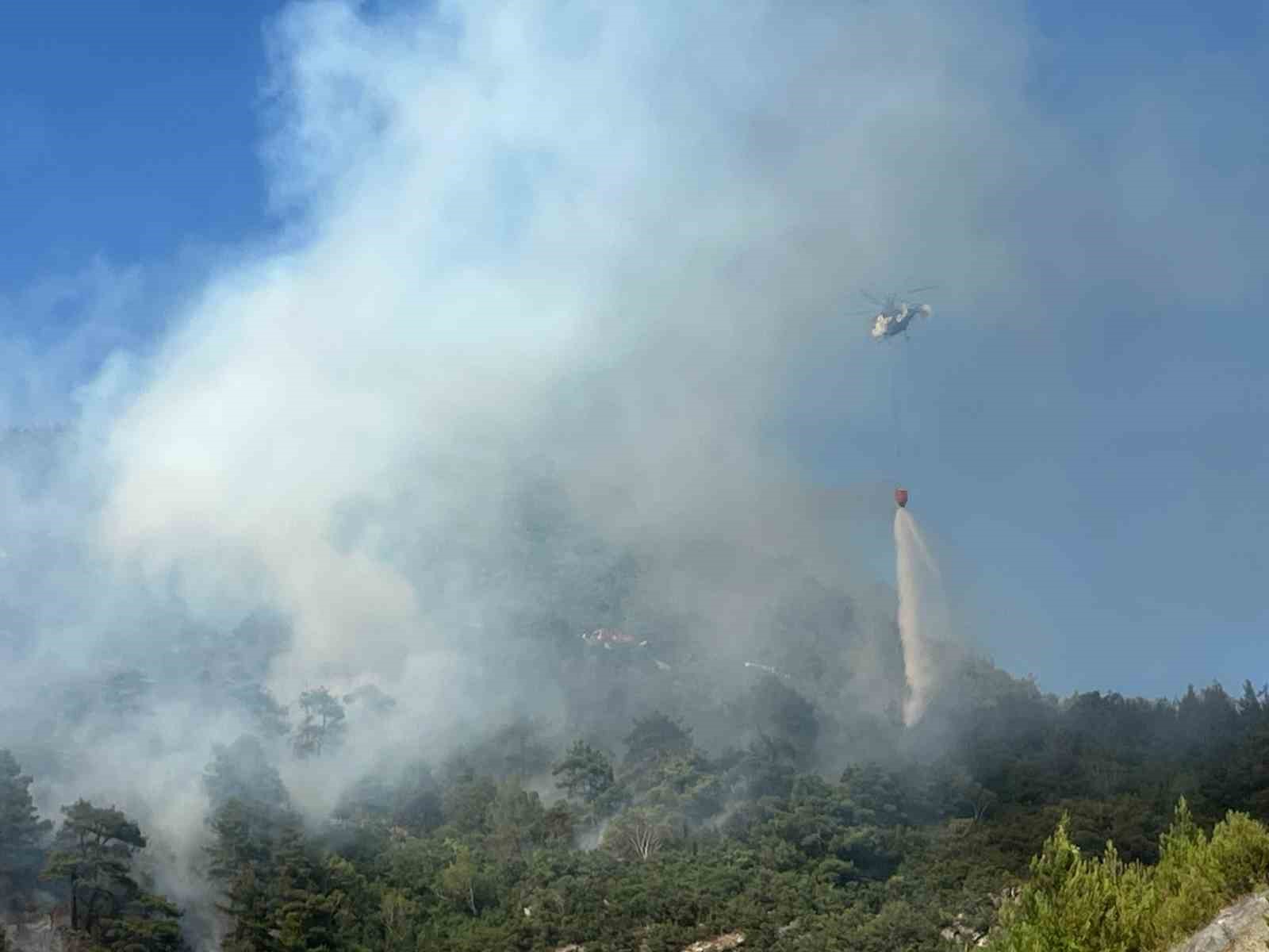 Bursa'da Tarım Alanında Çıkan Yangın Ormana ve Villalara Yaklaşıyor