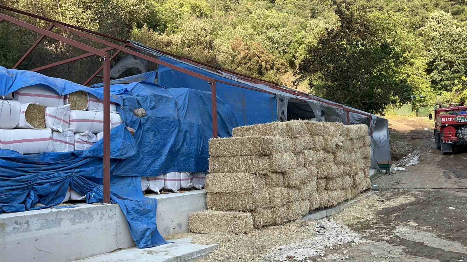 Bursa'daki Orman Yangını: Bir Gözaltı