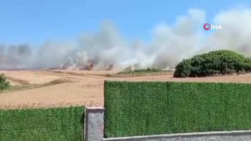 Büyükçekmece Çakmaklı Mahallesi'nde Sebepsiz Geniş Ot Yangını