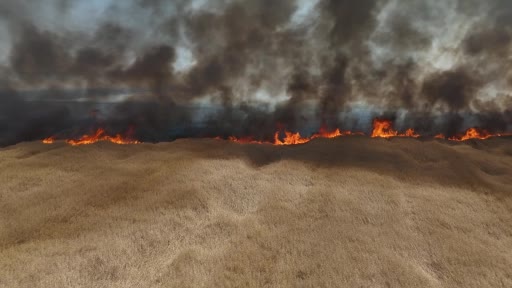 Edirne'de Çiftçinin Yıllık Emeği Yangınla Gölge Düşürdü: İşte Tarladaki Anlar