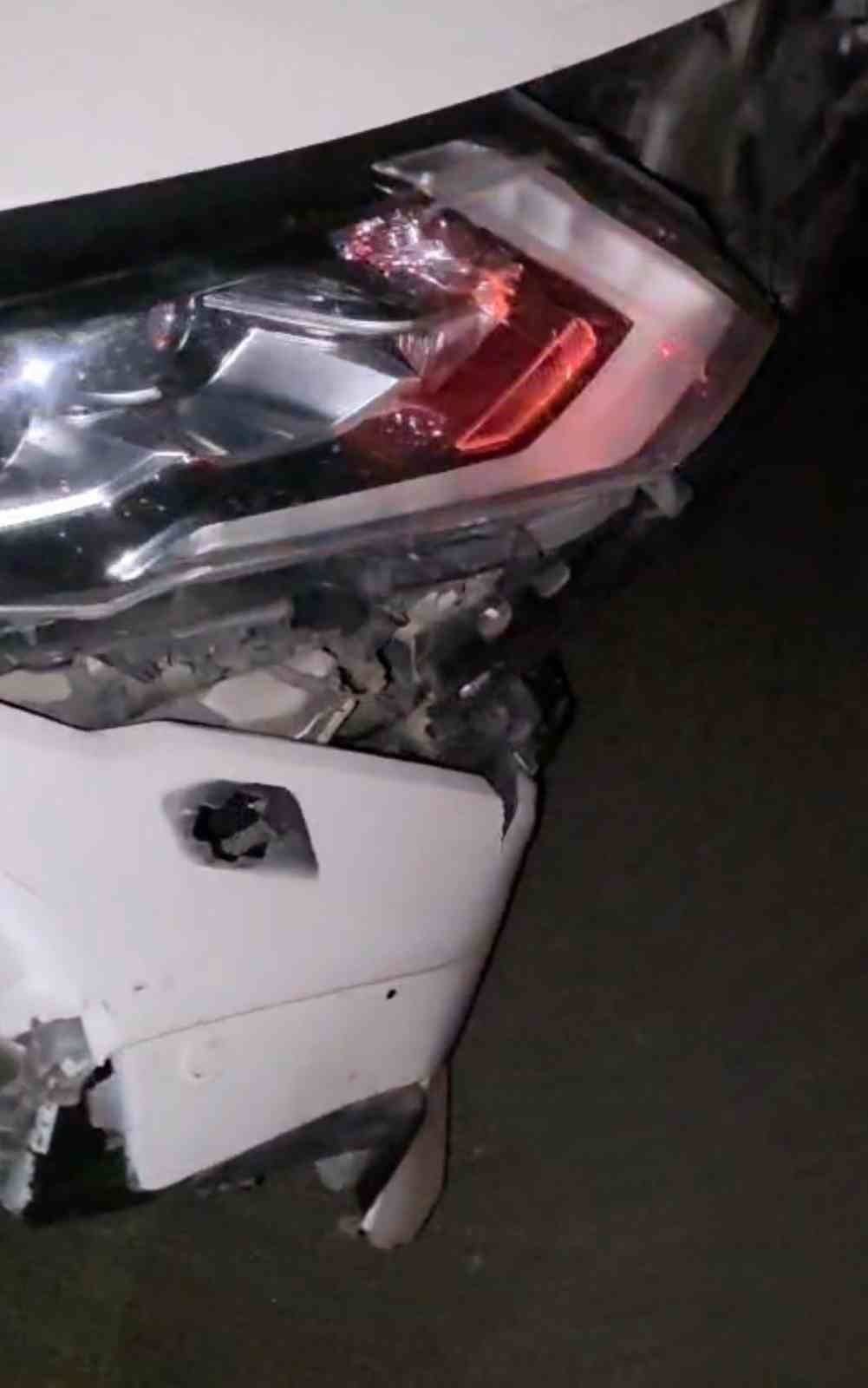 Elazığ'da Otomobilin Domuz Sürüsüne Çarpması Olayı