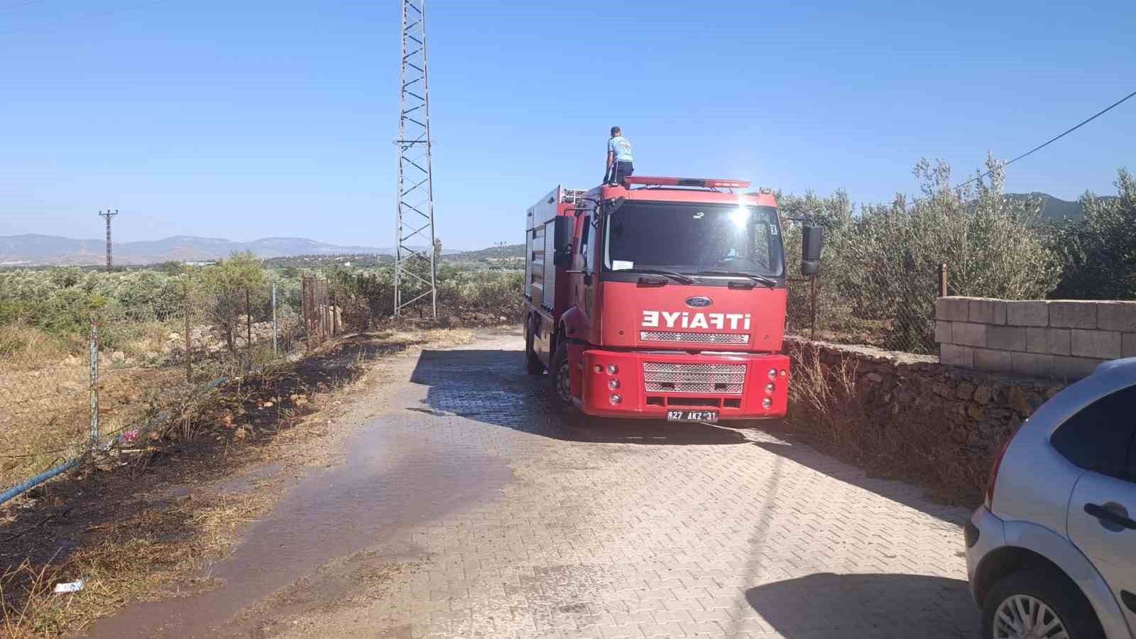 Gaziantep'te Zeytinlik Alanda Çıkan Yangın Nedeni ve Etkileri