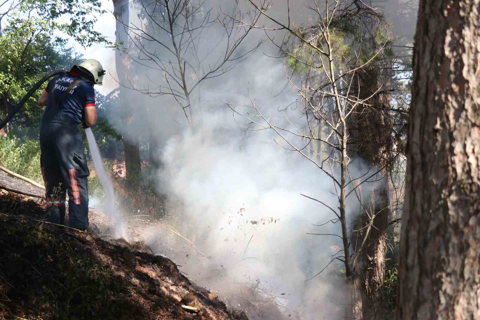 Sakarya'da Ormanlık Alanda Korkutan Yangın Gelişmeleri