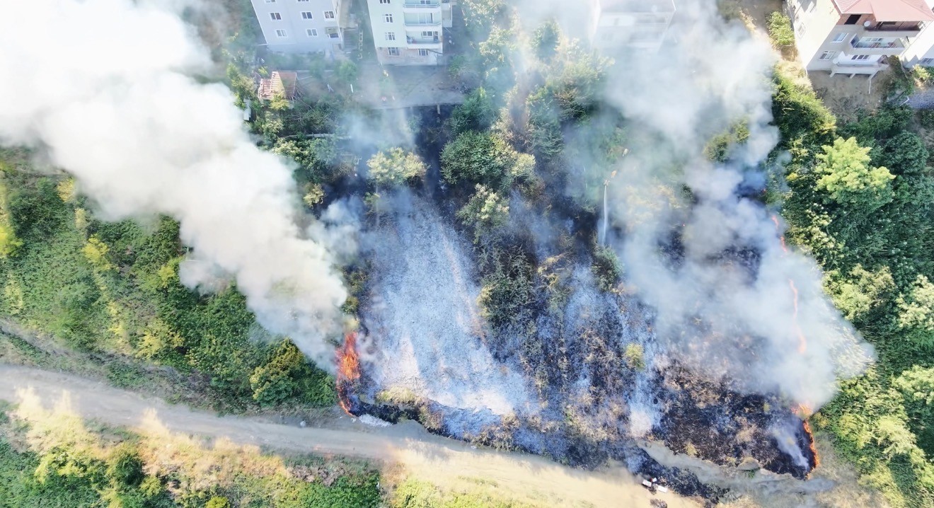 Samsun'da Endişe Yaratan Anız Yangını