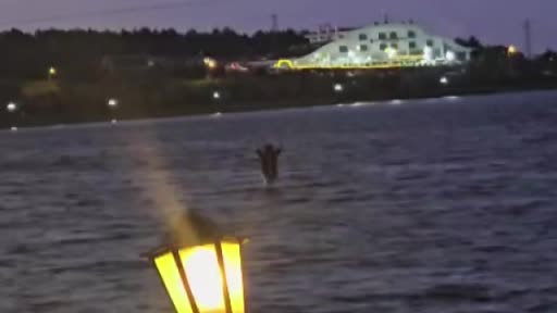 Zipline Mahsur Kalan Vatandaşı Deniz Bisikletiyle Gölette Kurtarma Hikayesi