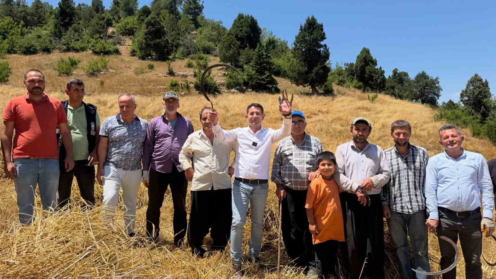 1200 rakımlı dağ köylerinde imece tarzı hasat