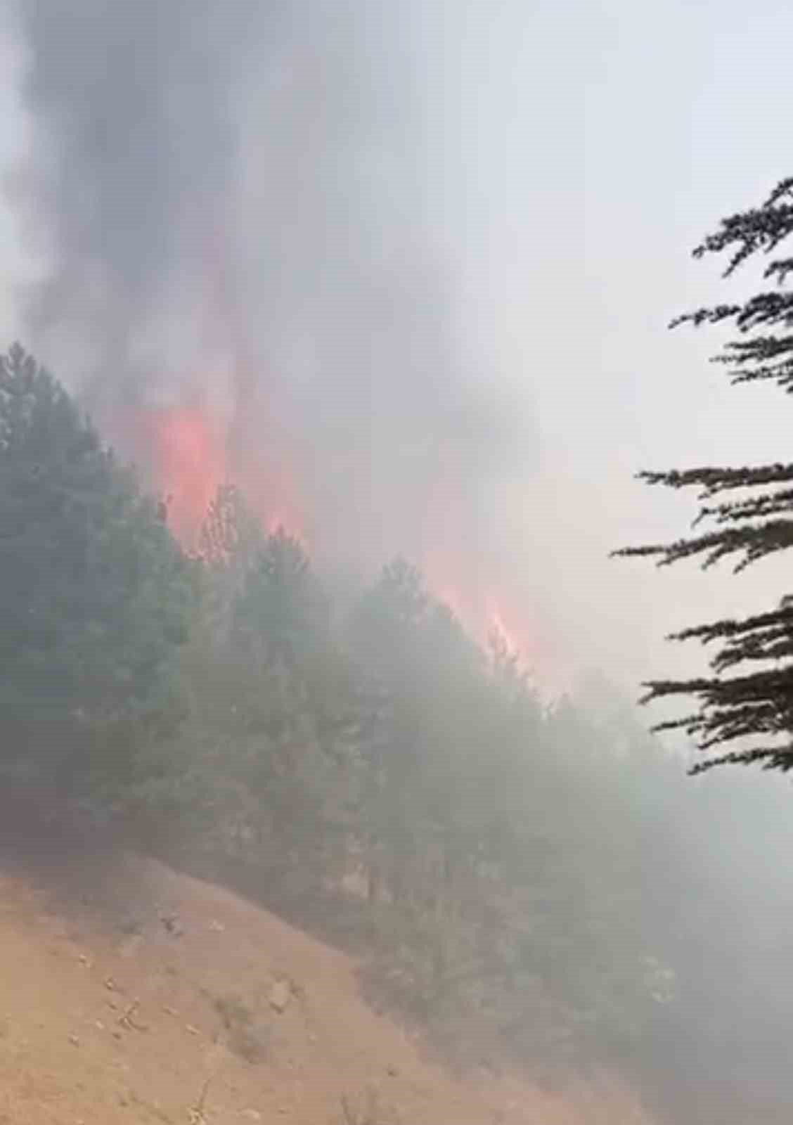 Adıyaman’daki orman yangını denetim altına alındı