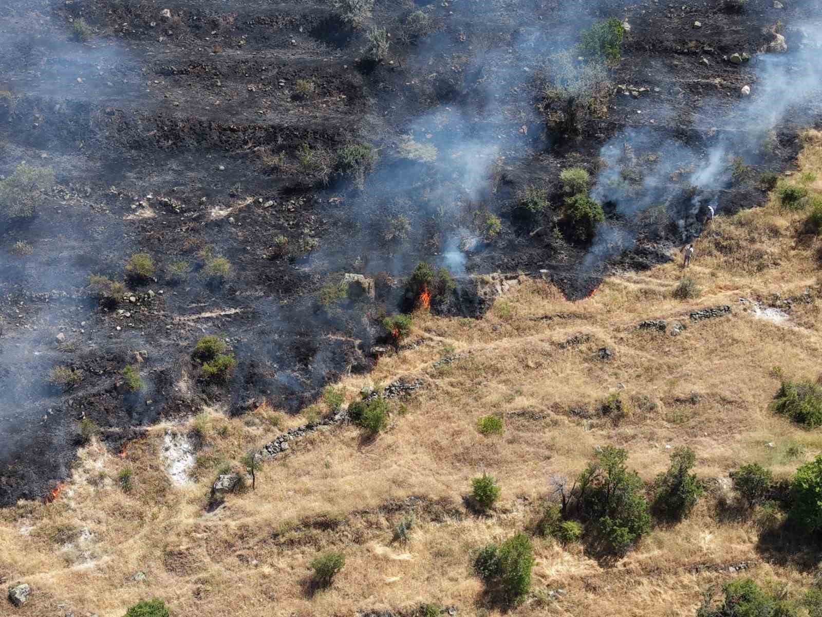 Afyonkarahisar’da otluk alandaki yangın bağ konutlarına sıçradı