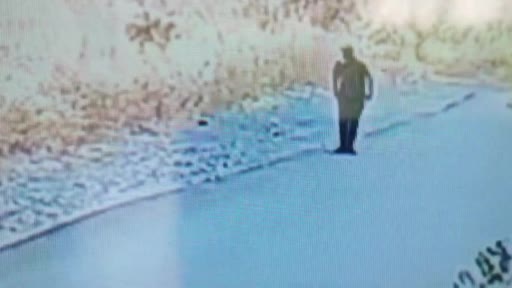 Ankara’da otluk alanda yangın çıkaran kuşkulu kamerada