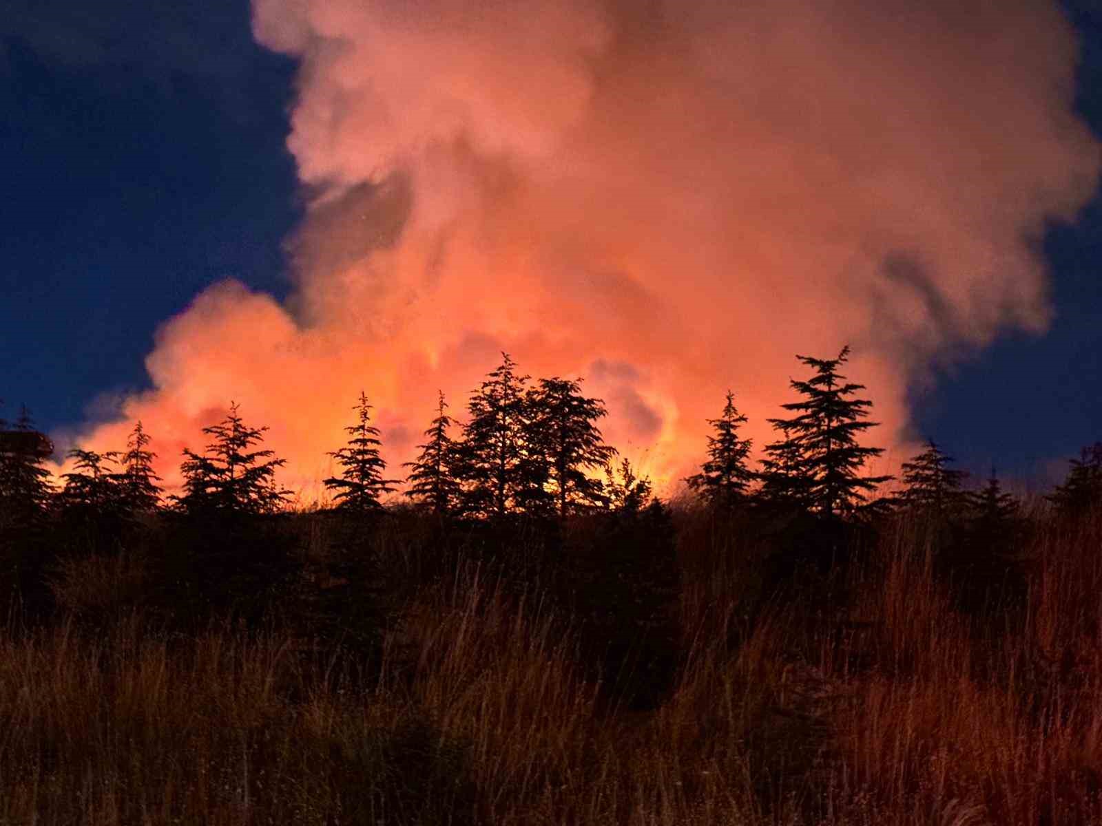 Ankara’da otluk toprakta çıkan yangın söndürüldü