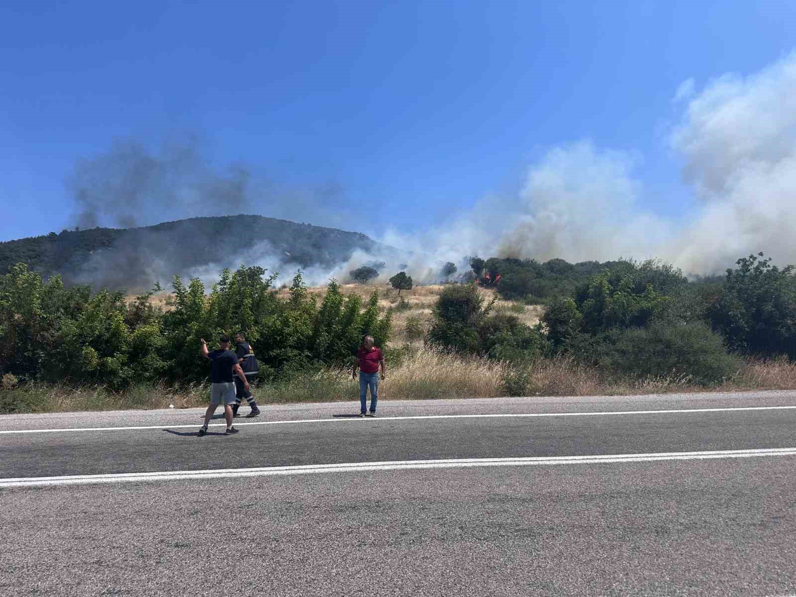Ayvacık'ta Orman Yangınıyla Mücadele