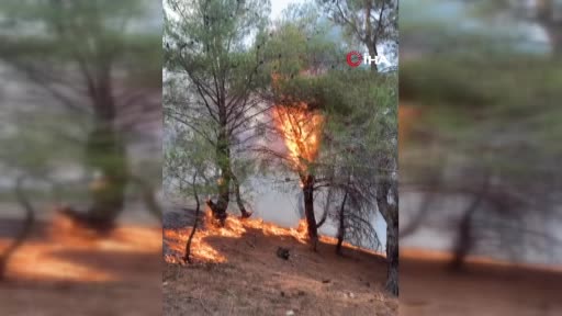 Ayvalık’taki orman yangını denetim altına alındı