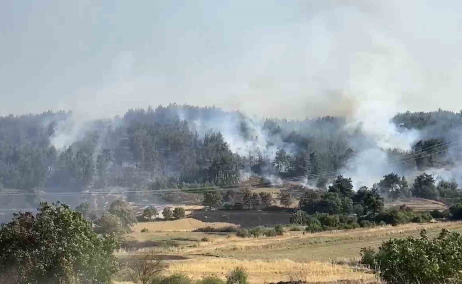 Balıkesir’de Orman Yangınına Hızla Müdahale Ediliyor