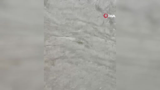 Beşiktaş'ta sağanakta yaşanan kurtarma anları: Vatandaşlar suya kapılan kadını kurtardı