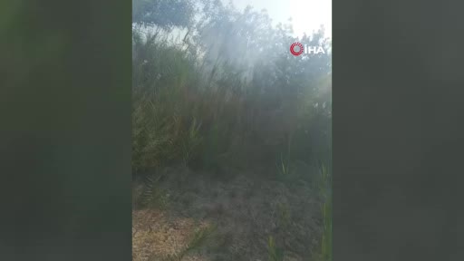 Beypazarı’nda ağaçlık alanda çıkan yangın söndürüldü