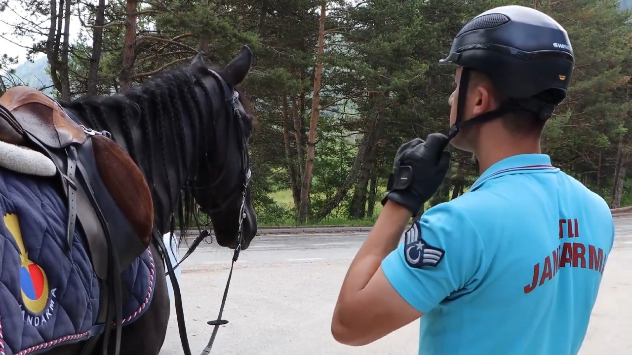 Bolu’da atlı jandarma timleri misyon başında