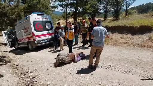 Bolu’da traktörden düşen 2 kişi yaralandı