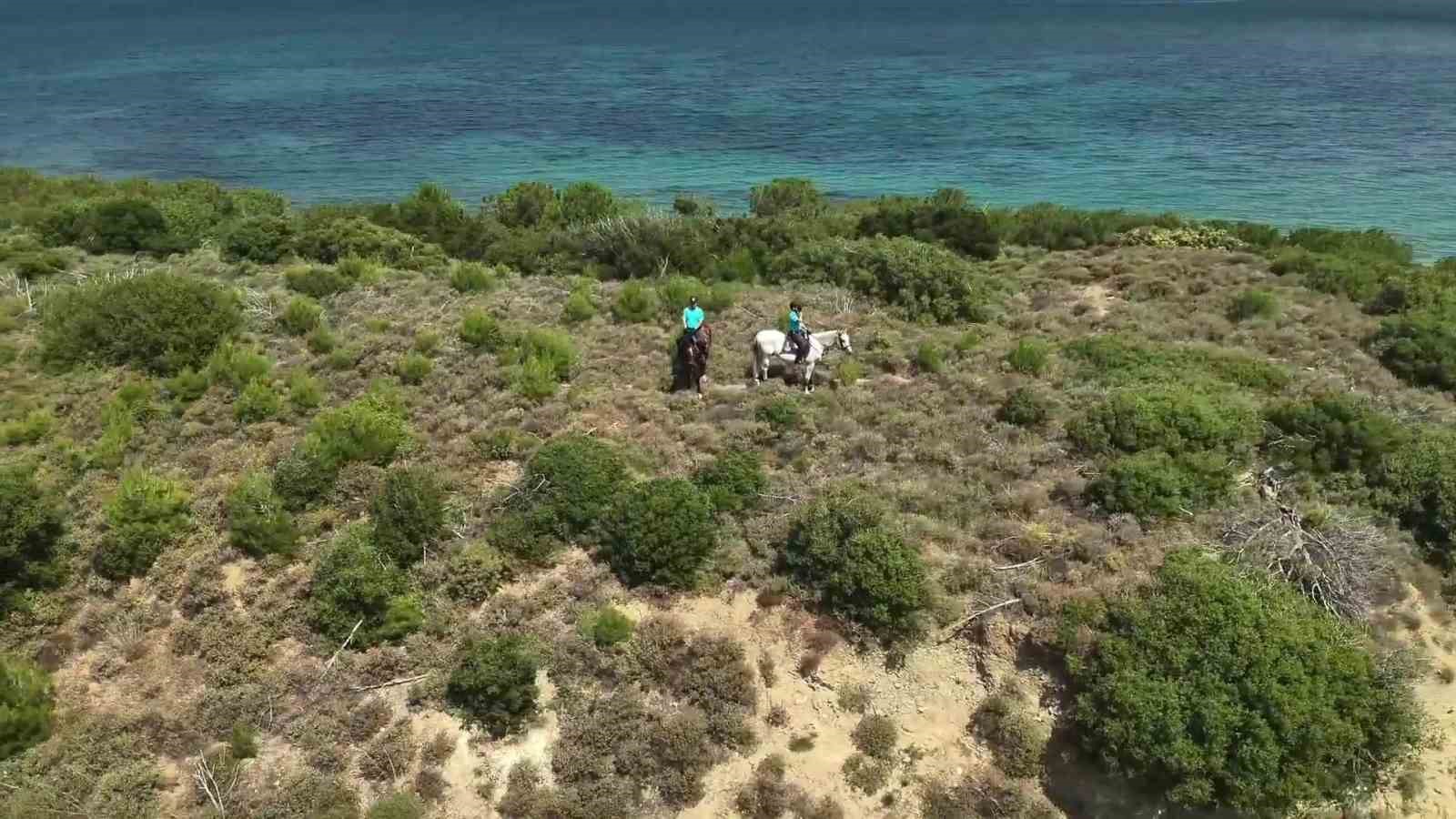 Çanakkale Orman Yangınlarıyla Mücadelede Sahada Ekipler