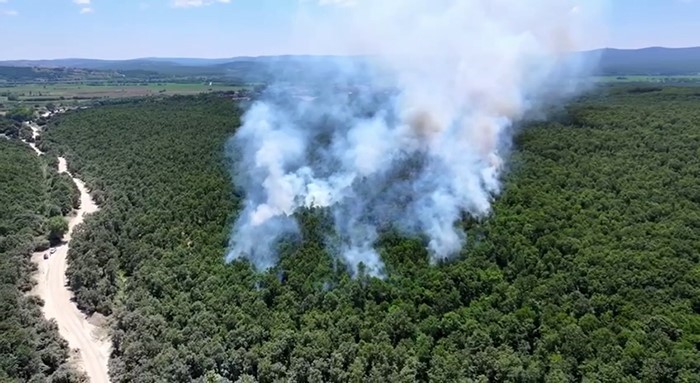Çatalca Ormanlı’da orman yangını havadan ve karadan müdahaleyle söndürüldü