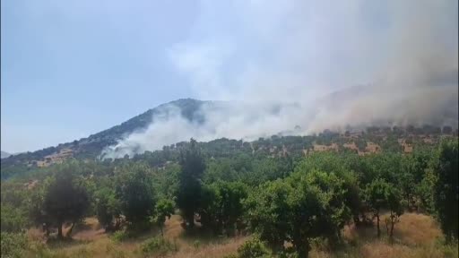Diyarbakır'da Ağaçlık Alanda Yangın Söndürme Çalışmaları Devam Ediyor