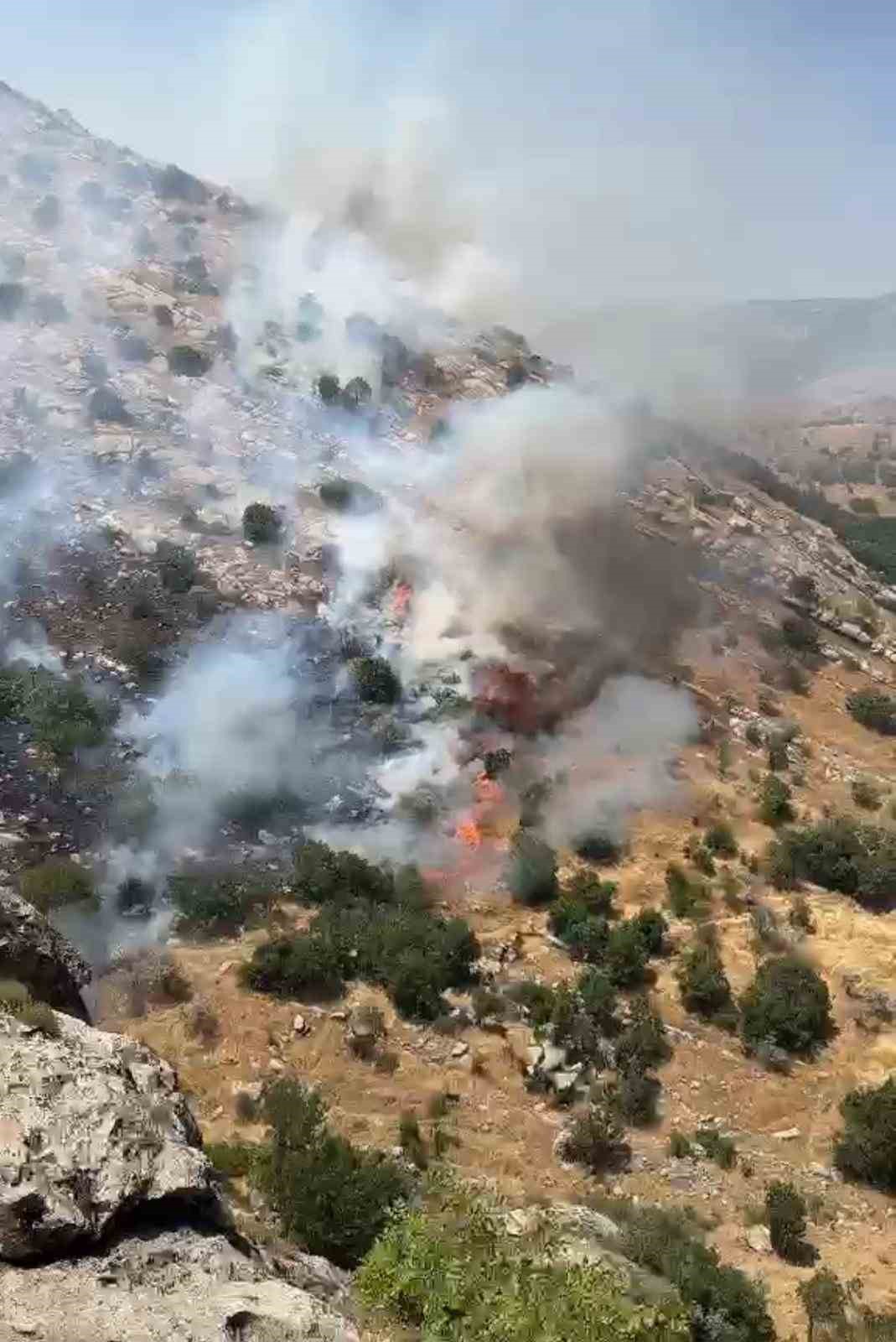 Diyarbakır’da çıkan örtü ve orman yangınları söndürüldü