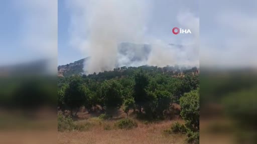 Diyarbakır'da Ormanlık Alanda Çıkan Yangın ve Söndürme Çalışmaları