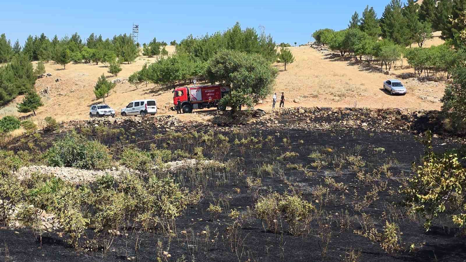 Diyarbakır’da yüksek tansiyon çizgisine çarpan kuş yangına sebep oldu