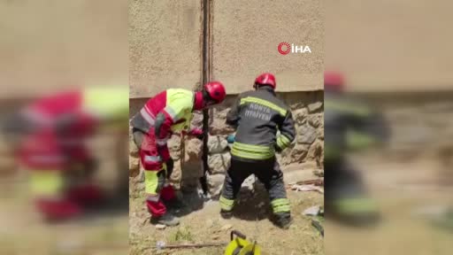 Duvar Arasında Mahsur Kalan Kedi İçin 9 Saatlik Kurtarma Operasyonu