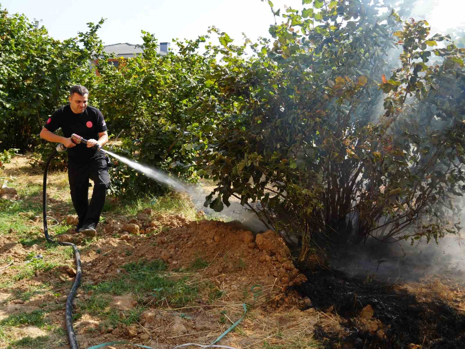 Düzce İtfaiyesi 3 ayda 300 anız yangınına müdahale etti