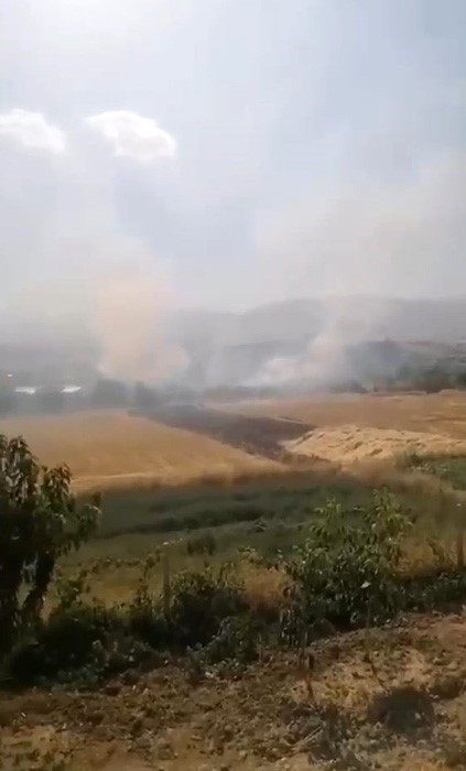 Elazığ’da otluk alanda yangın