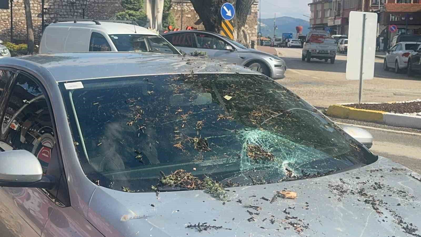 Fırtınada kökünden sökülen ağaç arabanın üzerine devrildi