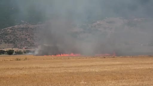 Gaziantep’te korkutan tarla yangını
