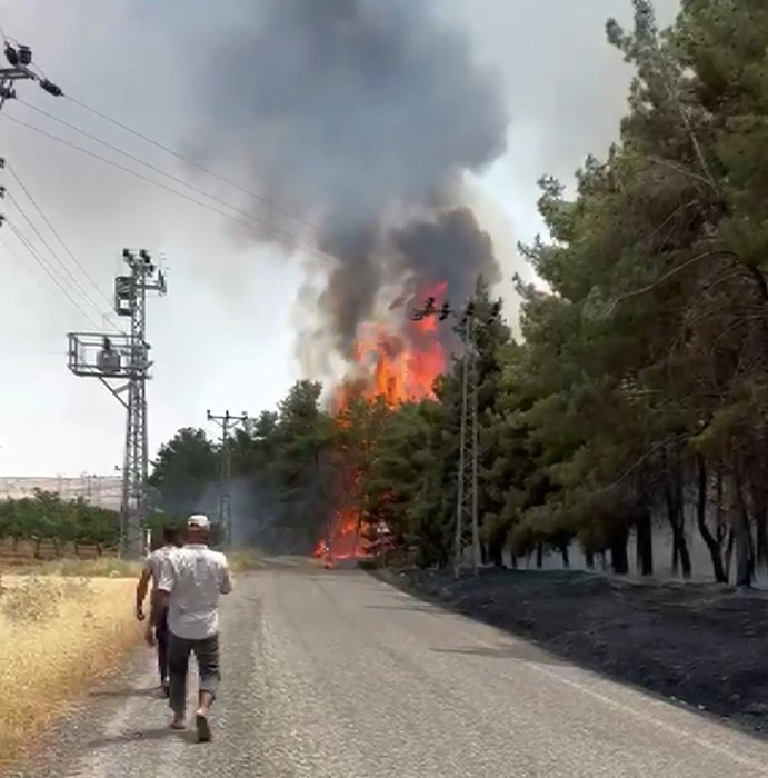 Gaziantep’te orman yangını