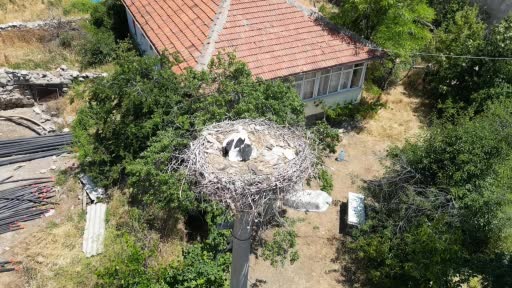 İpe dolanan leyleğin yardımına itfaiye yetişti