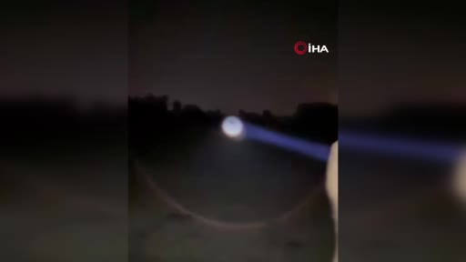 İzmir'de Ayı Saldırısında Hayatını Kaybeden Yaşlı Adam