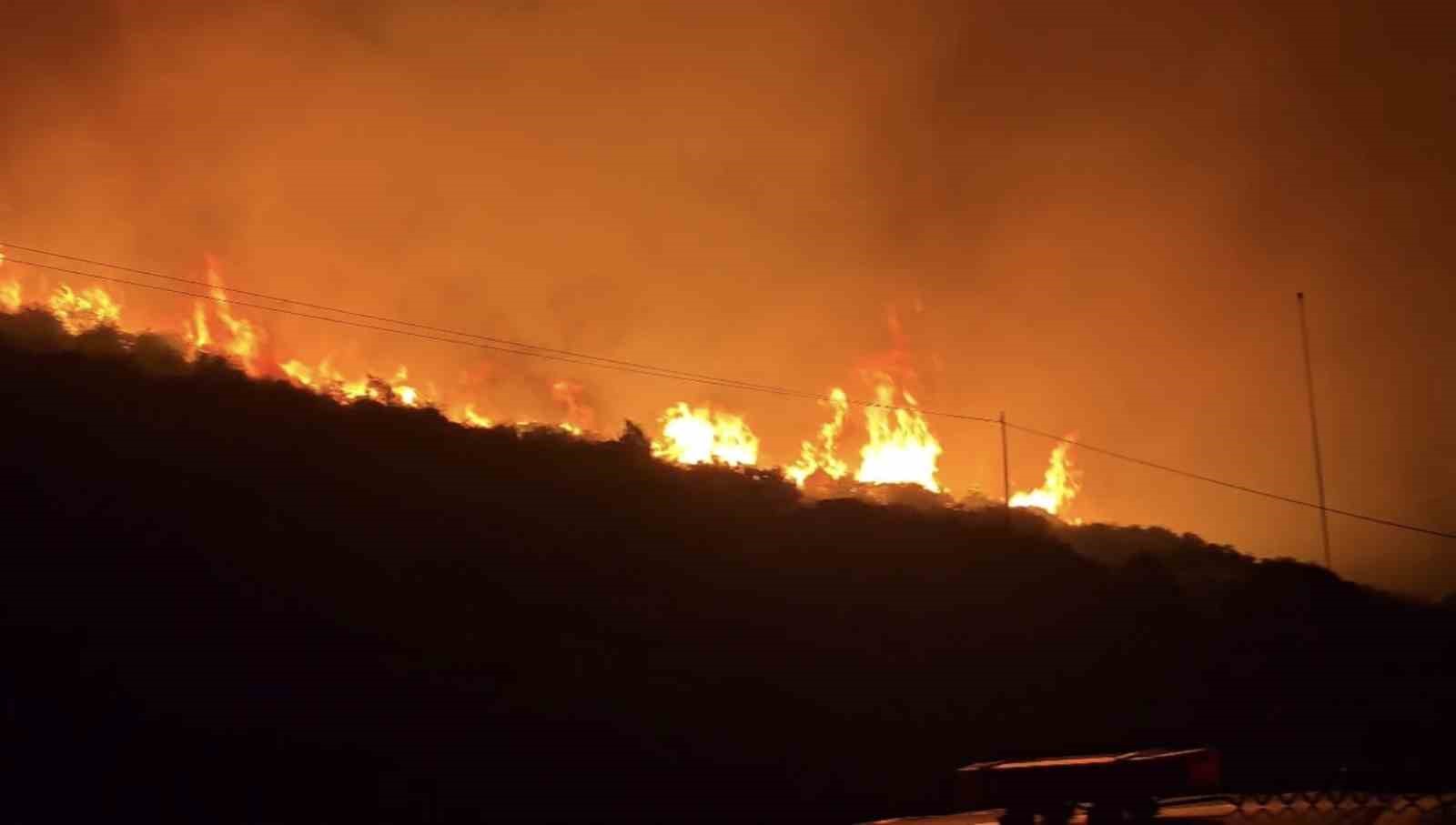 İzmir'de Makilik Alanda Çıkan Yangın Hakkında Güncel Bilgiler
