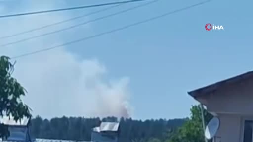 Kastamonu'da Yangınla Mücadele: Hava ve Kara Müdahalesi