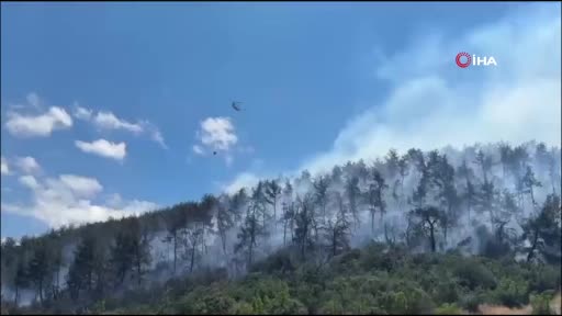 Kepsut'ta Yangınla Mücadele Devam Ediyor