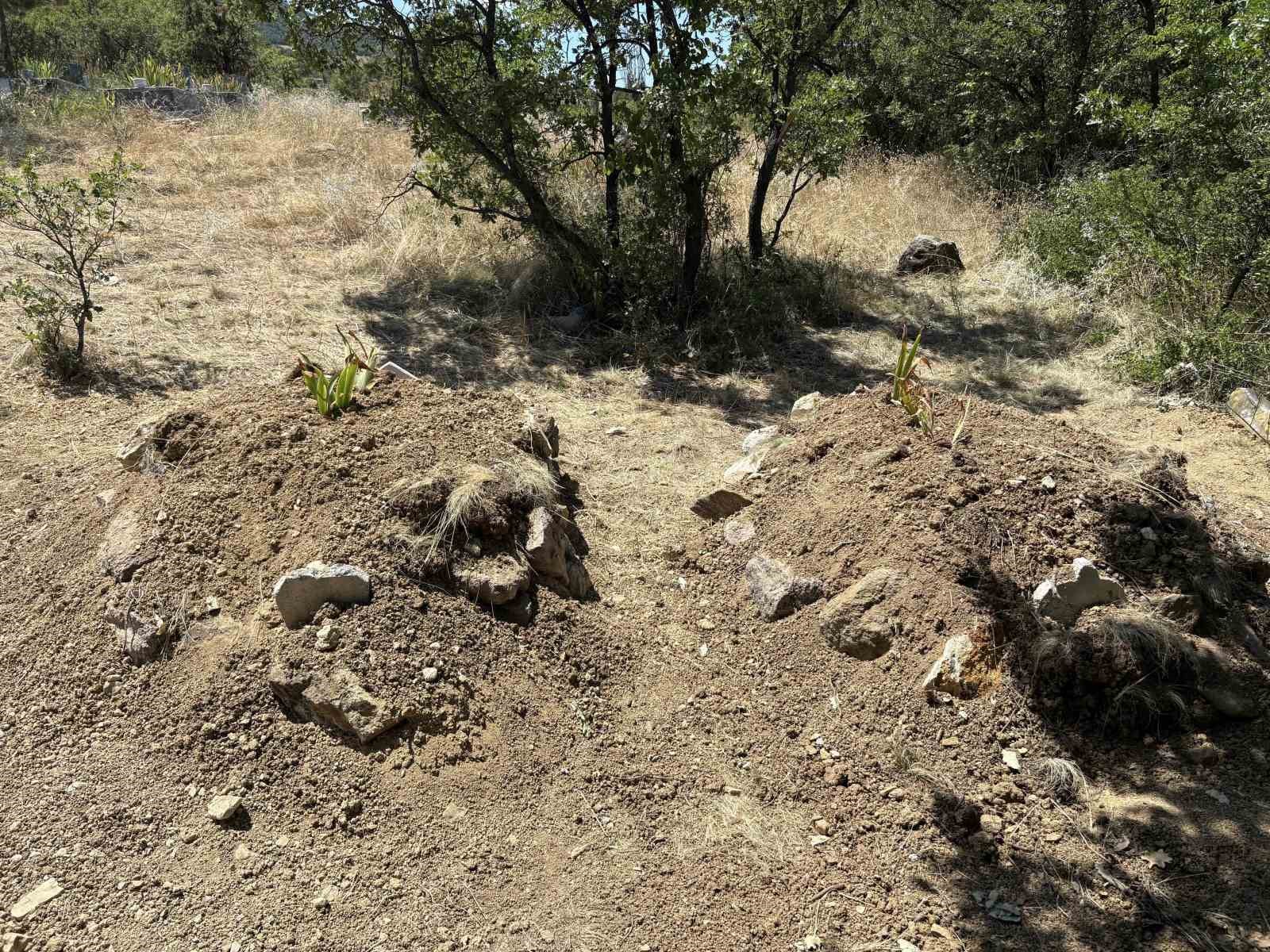 Kiraz yedikten sonra zehirlenerek öldükleri tez edilen çift yan yana toprağa verildi