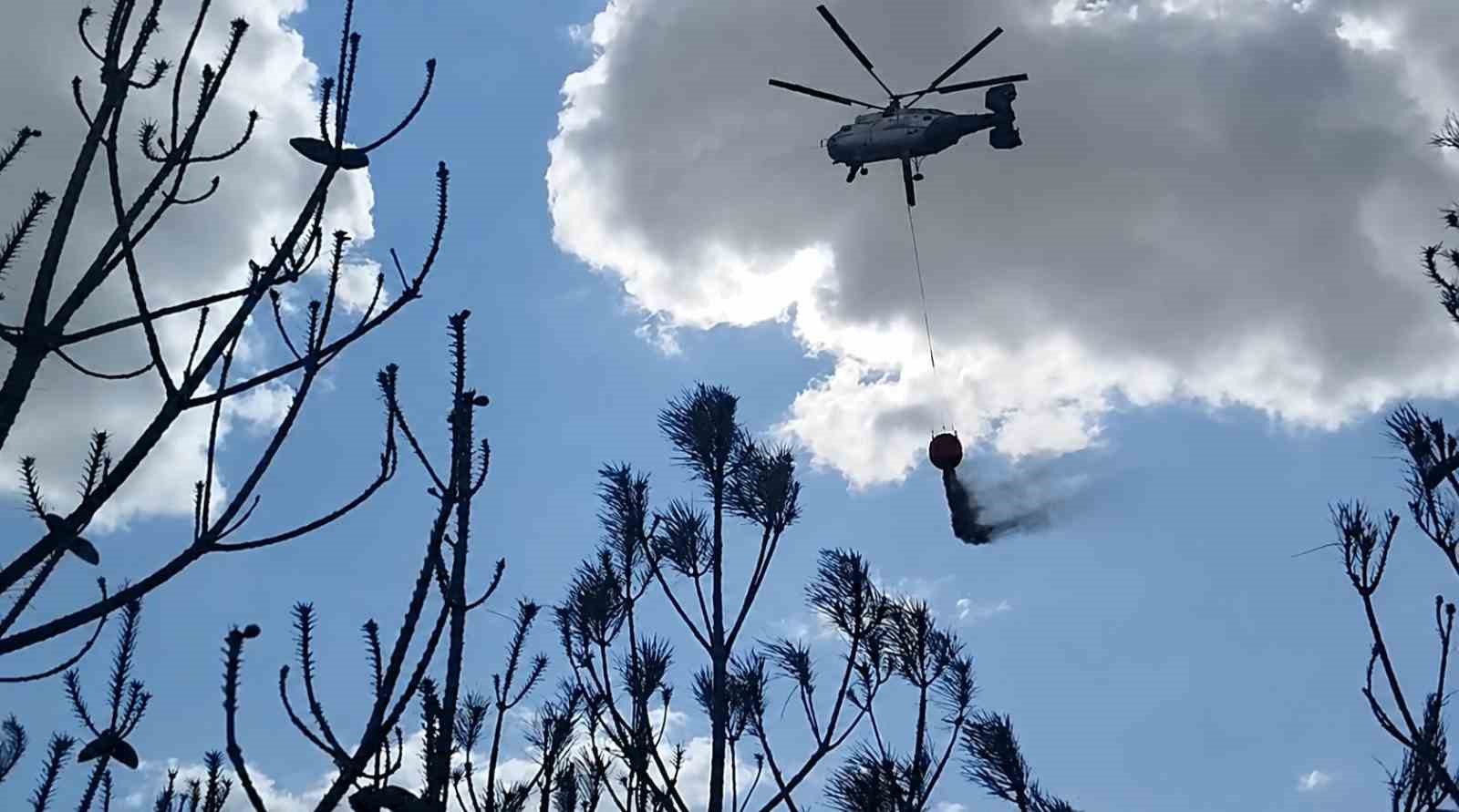 Kırklareli’deki orman yangını söndürüldü: 35 dekar alan ziyan gördü
