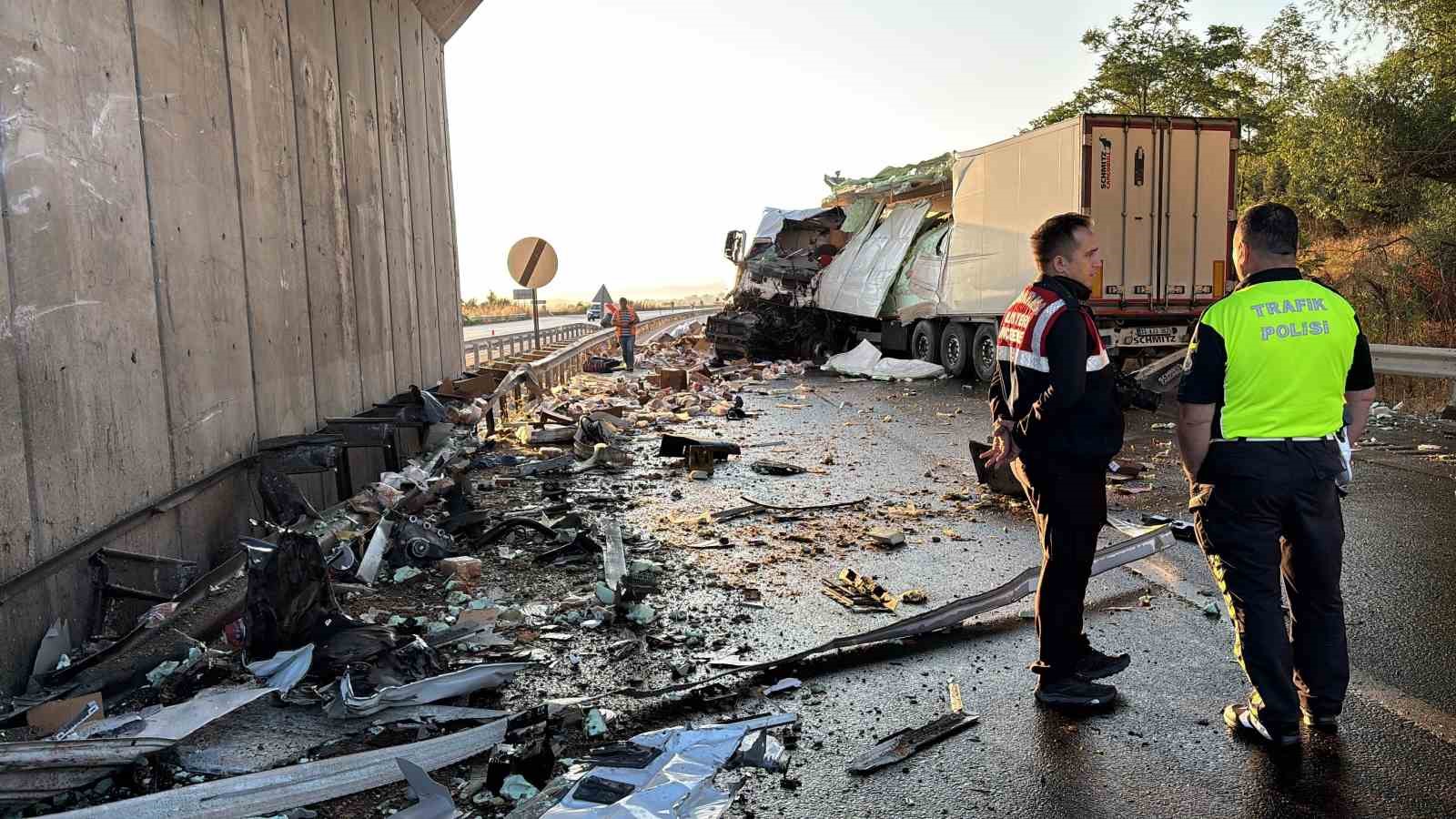 Köprüdeki Beton Bariyere Çarpan Tavuk Yüklü Kamyonun Sürücüsü Öldü