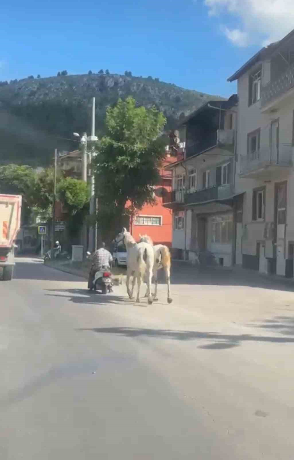 Kütahya’da Atlarla Motosiklet Bağlanma Olayı Kameralara Yansıdı