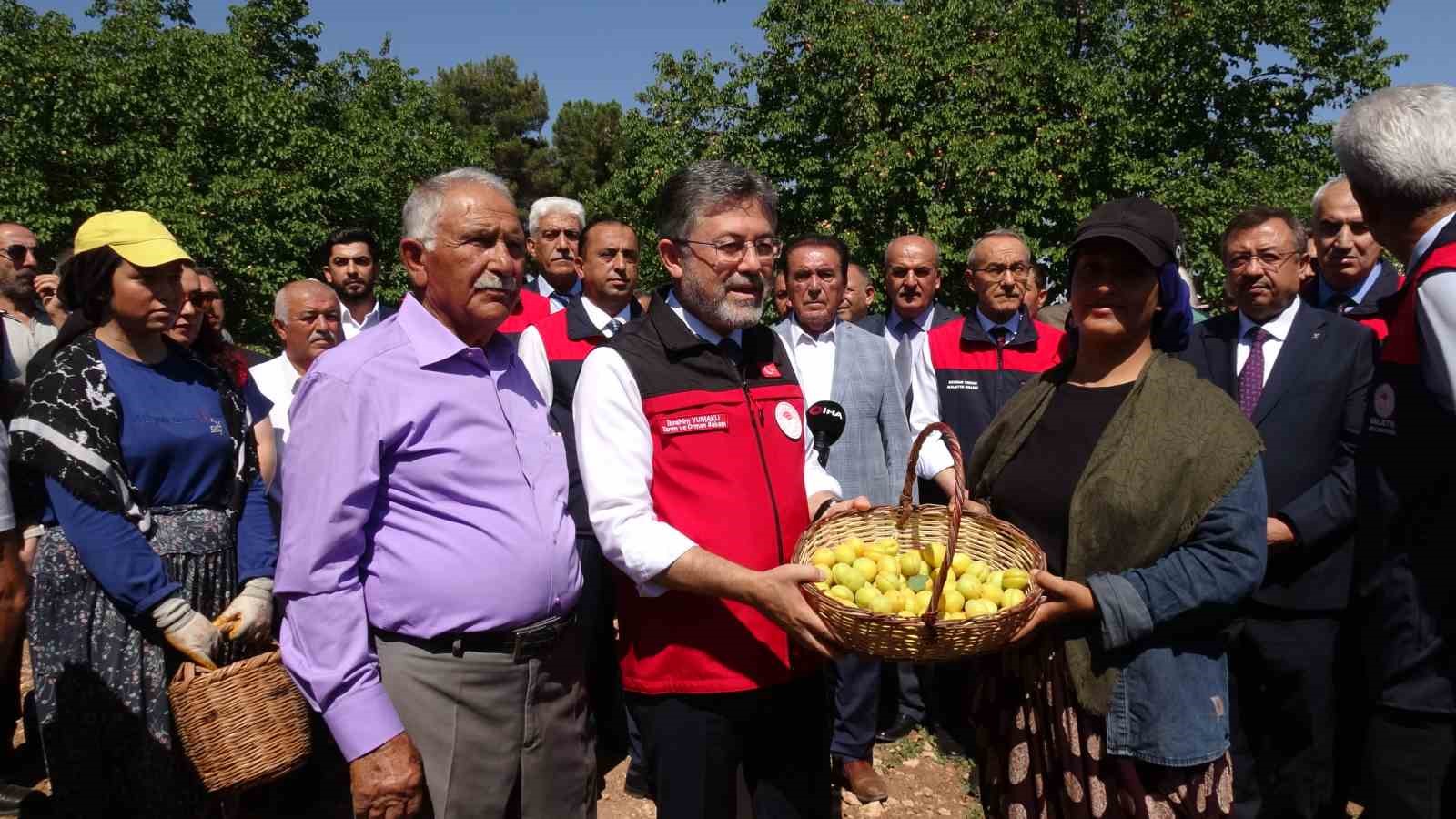 Malatya’da kayısı hasadına katılan Bakan Yumaklı: "Geçtiğimiz senenin o karamsar vaktini üzerimizden atan çok hoş bir eser görüyoruz"