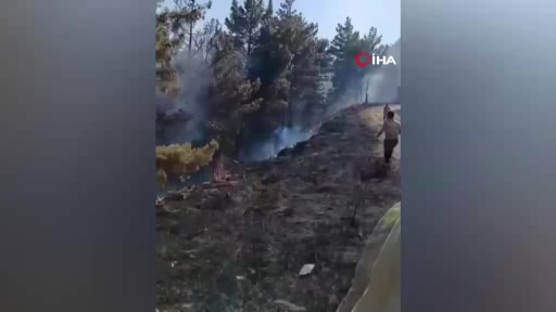 Mersin’deki orman yangını havadan ve karadan müdahale ile denetim altına alındı