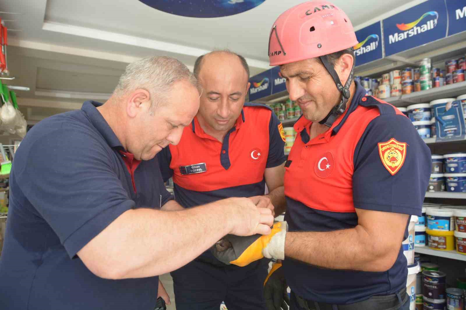 Ordu'da Ebabil Kuşu İçin İtfaiye Seferberliği