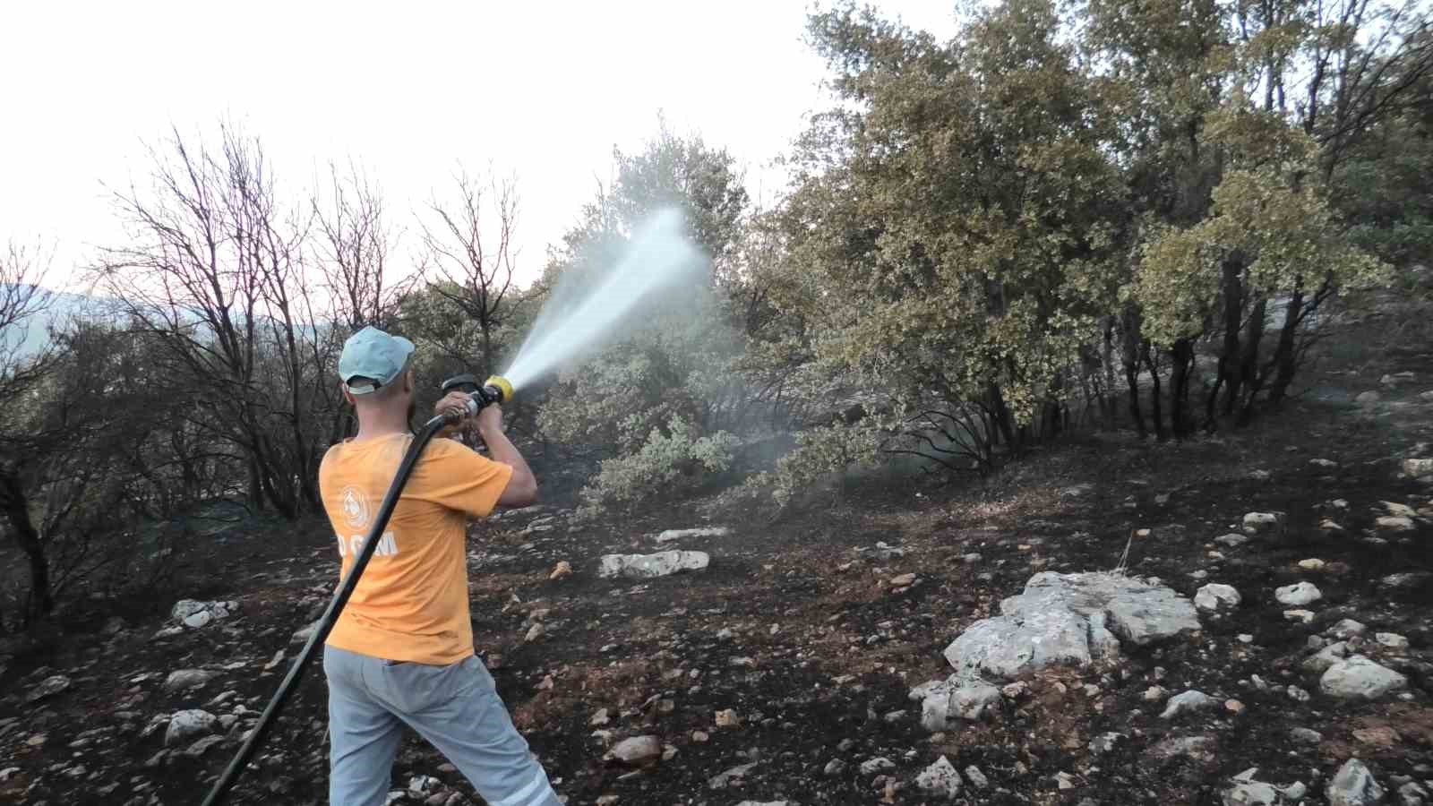 Orman Yangını Felaketi: Güvenlik ve Önlemler
