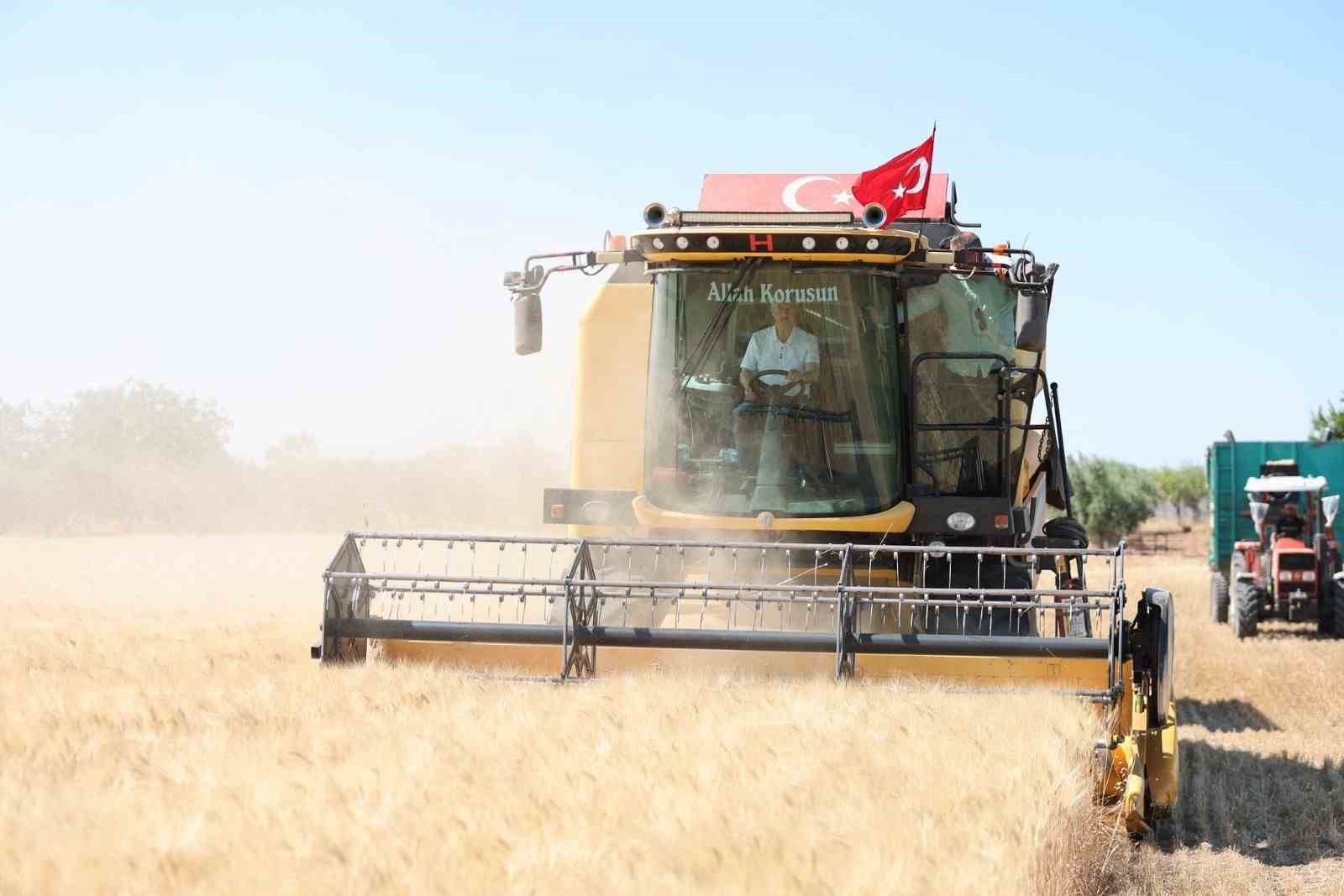 Şahinbey’de çiftçiler buğday hasadından mutlu