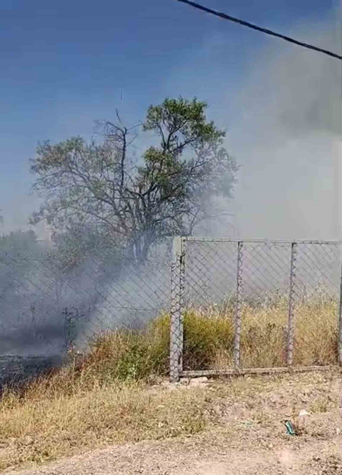 Siirt’te konutun bahçesinde çıkan yangında meyve ağaçları kül oldu